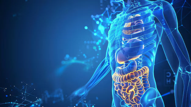 Diabetes & Metabolic Health