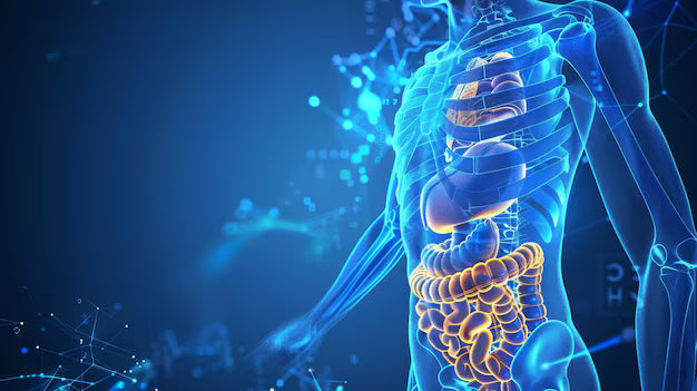 Diabetes & Metabolic Health